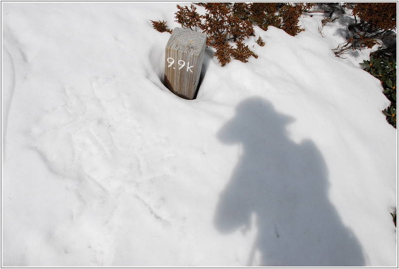 2012-03-06 10-22-34踏雪登雪山途中.JPG